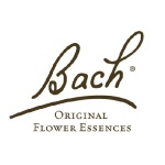 Bach Vervain/Ijzerhard 20ml